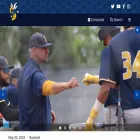 fchornets.com fchornets.com