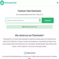 fdownloader.net fdownloader.net