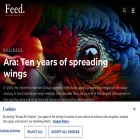 feed.jeronimomartins.com feed.jeronimomartins.com