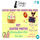 felicityspetsupplies.com