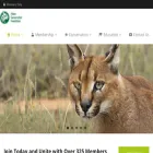 felineconservation.org felineconservation.org