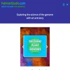fellmanstudio.com fellmanstudio.com