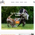 fello.pet fello.pet