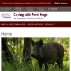 feralhogs.tamu.edu