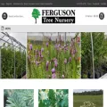 fergusontreenursery.ca fergusontreenursery.ca