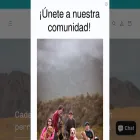 fetch.mx