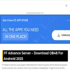 ffadvanceserver.com