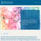 fias.institute fias.institute
