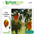 fidandiyarim.com