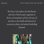 fiererlab.org fiererlab.org