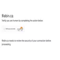 filebin.ca filebin.ca