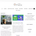 filefleck.com
