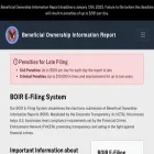 filetheboir.com filetheboir.com