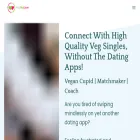 findveglove.com findveglove.com