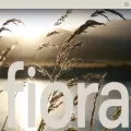 fiorabath.com