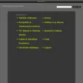 firstfollower.com firstfollower.com