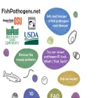 fishpathogens.net fishpathogens.net