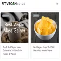 fitveganguide.com