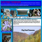 flagpond.com flagpond.com