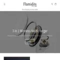 flamidity.com flamidity.com