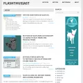 flashthusiast.com