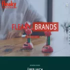 fleaky.de