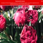 fleuristedecarouge.ch