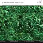 flizzer.ch flizzer.ch