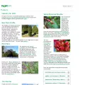 floridata.com floridata.com