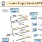 flow.hemiptera-databases.org flow.hemiptera-databases.org