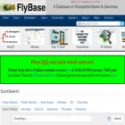 flybase.net flybase.net