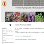fmbds.org
