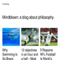 footballoogy.com