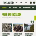 foraged.com foraged.com