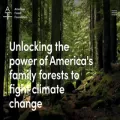 forestfoundation.org