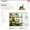 forestry.about.com