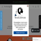 forexengineer.com.my