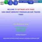 formulascalper.com formulascalper.com