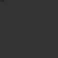 fortunepanda.com