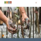 fosonline.org fosonline.org