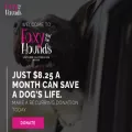 foxyandthehounds.org