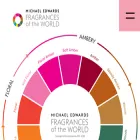 fragrancesoftheworld.com fragrancesoftheworld.com