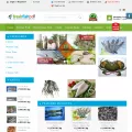 freshfishbd.com freshfishbd.com