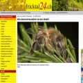 fricktal24.ch