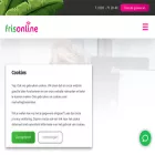 fris.online fris.online
