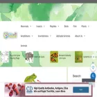 frog-life-cycle.com frog-life-cycle.com
