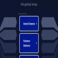 ftd-global.shop
