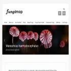 fungimap.org.au