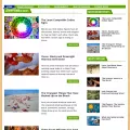funpicplanet.com