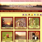 gallery.new-ecopsychology.org